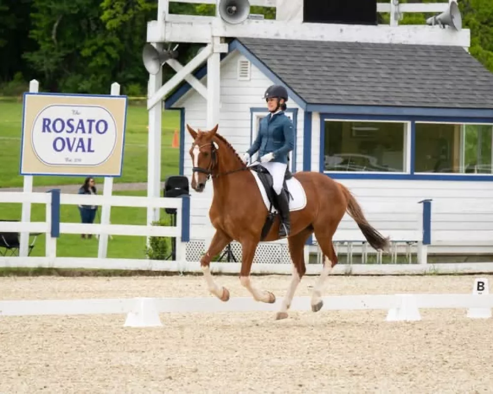 Plenty of jump in the canter