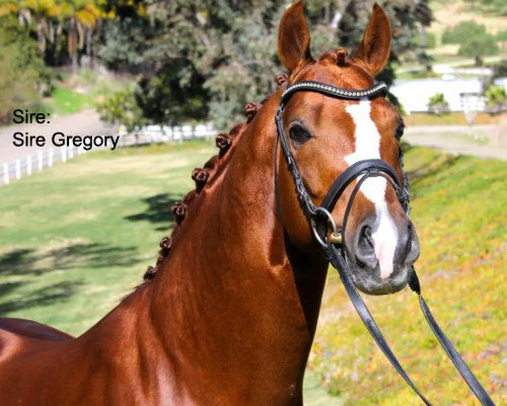 Sire:  Sir Gregory