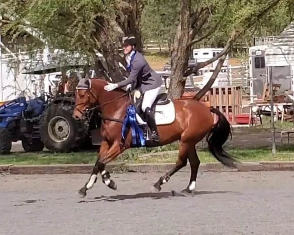 Won Training level at Spokane Horse Trials, May 2019