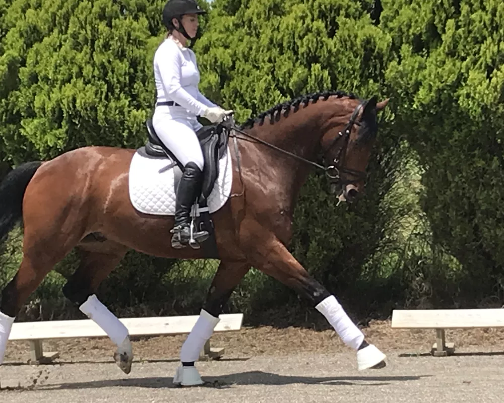 EastpointJune2019