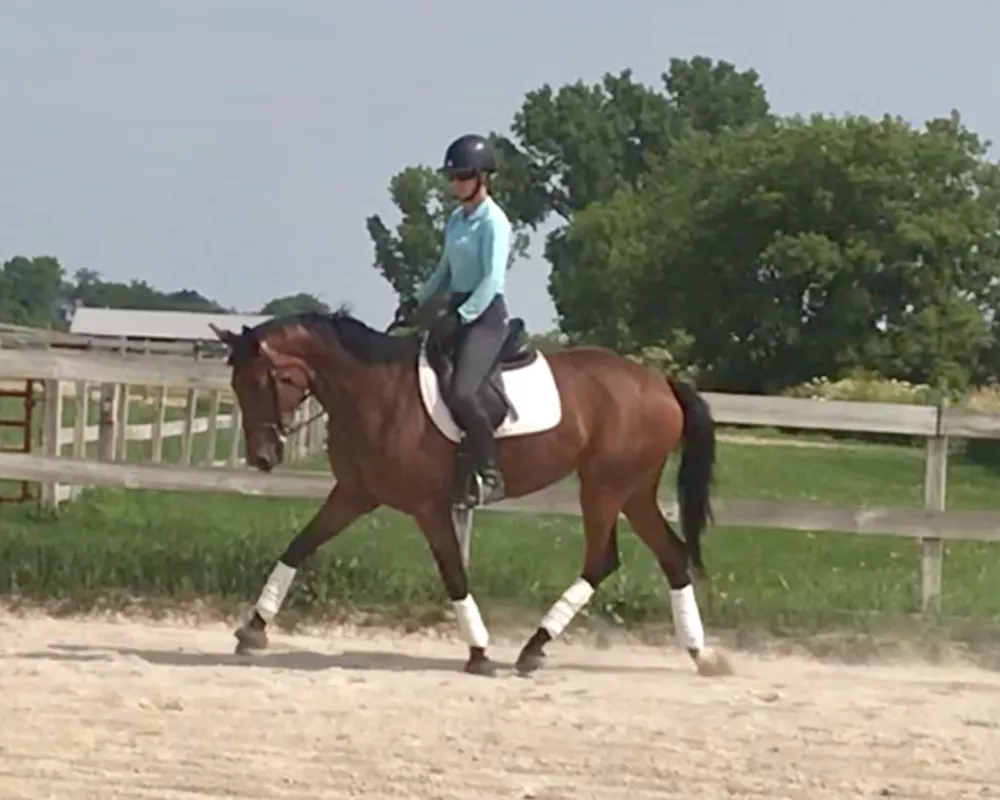 Trot left