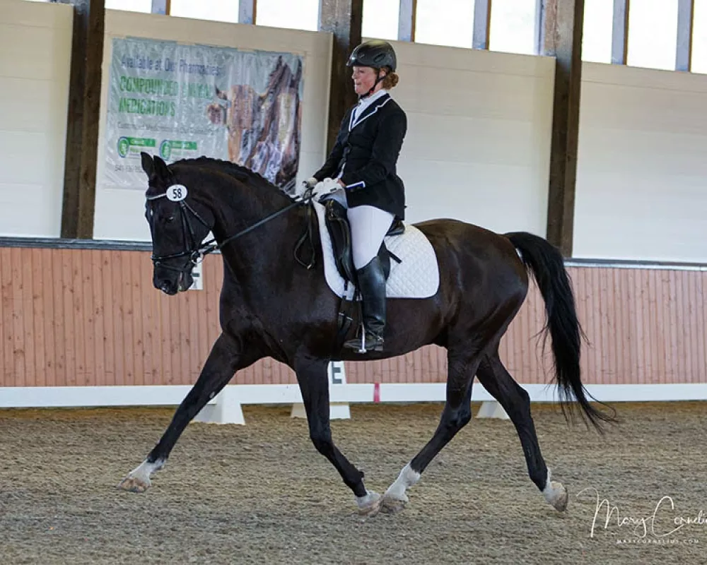 Allegro, Trot