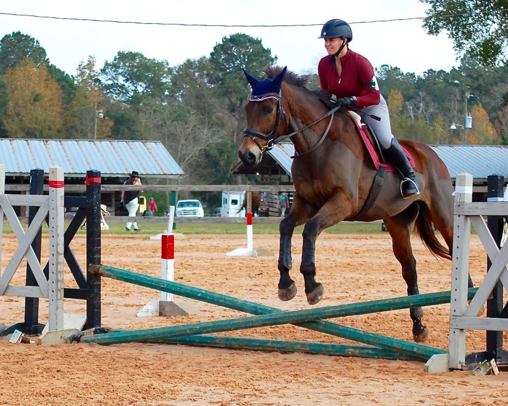 Horse jumping