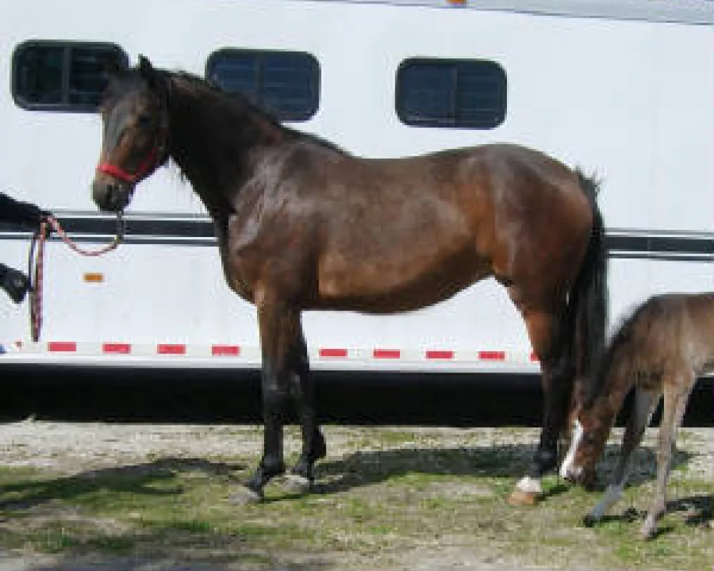Rosalita 2009 with R Corrito