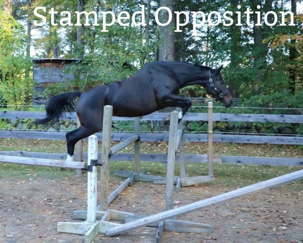 Stamped Opposition