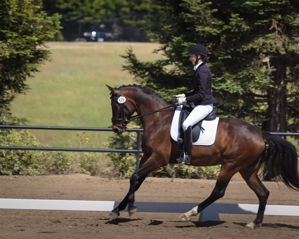 Fancy canter