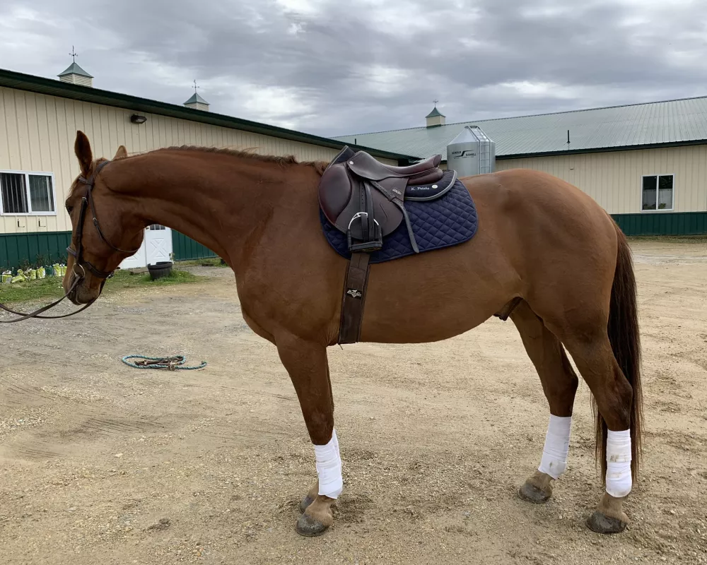 Aug 2019