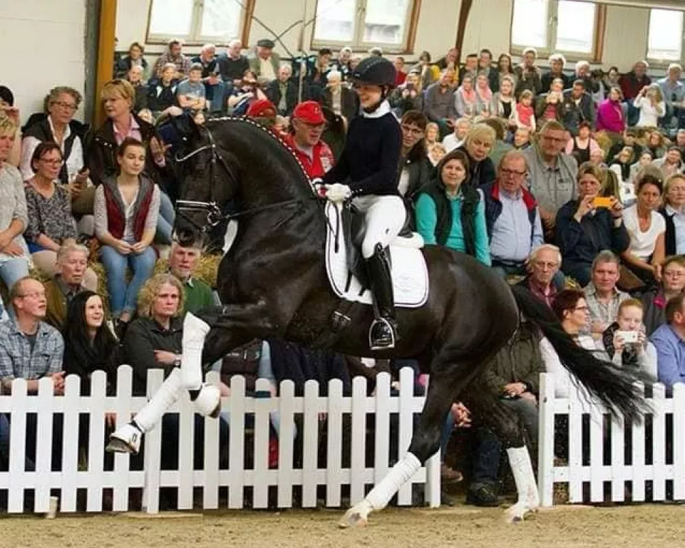 Sire Secret 