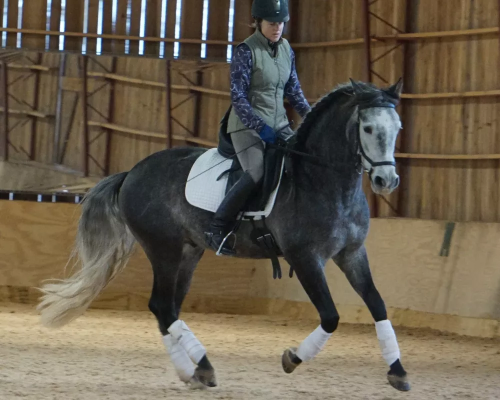 Canter