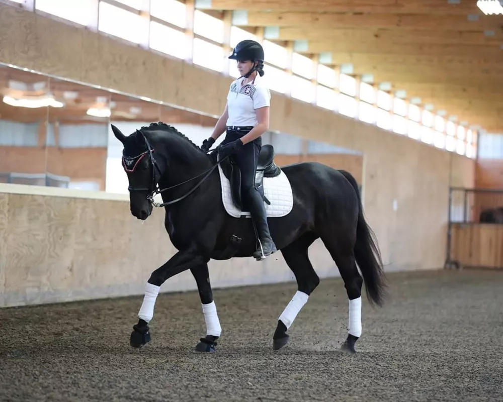 Lilo Fore Clinic 2019