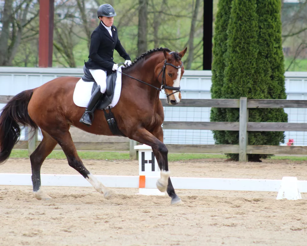 Georgia canter right