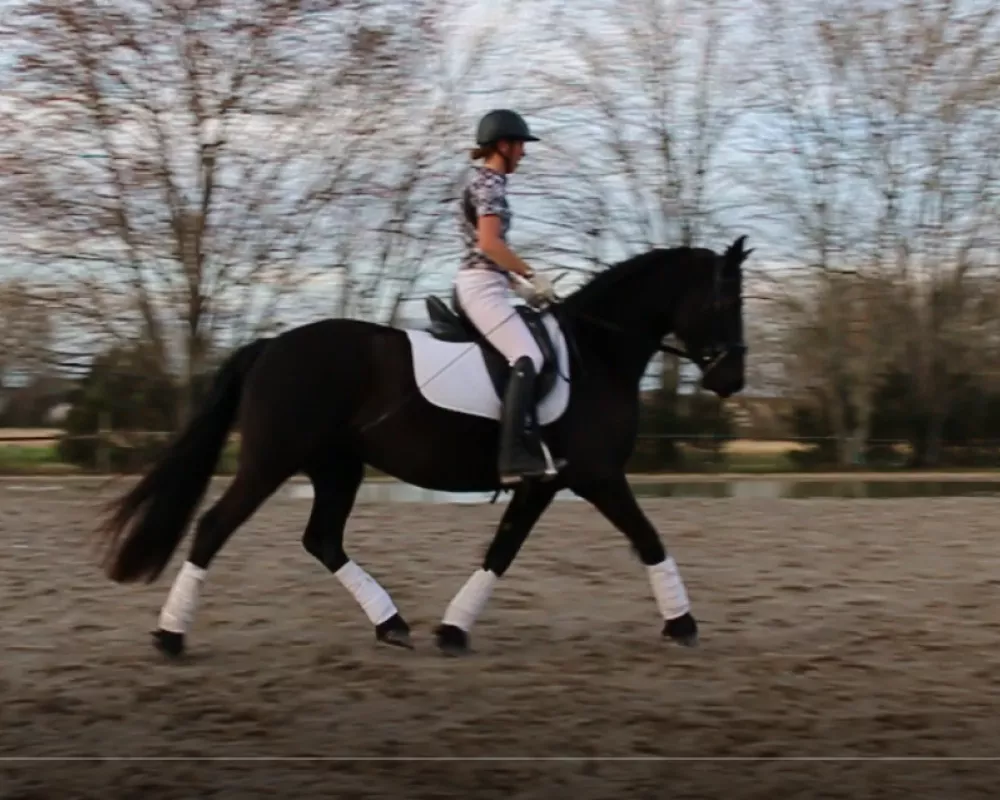 trot