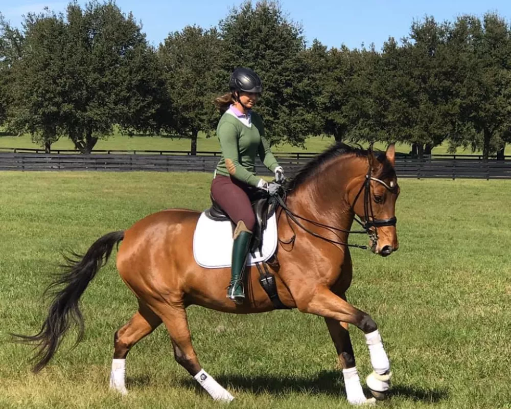 Grand Prix Schoolmaster!