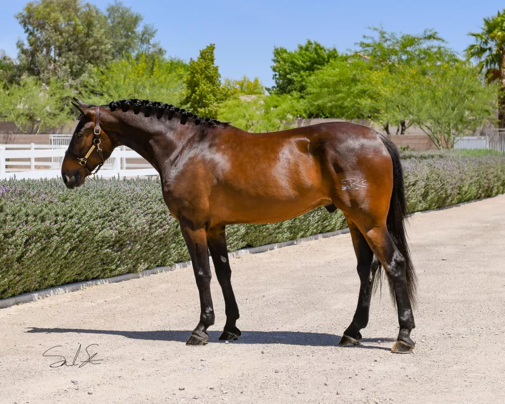 Buena Vida Side Confirmation Photo