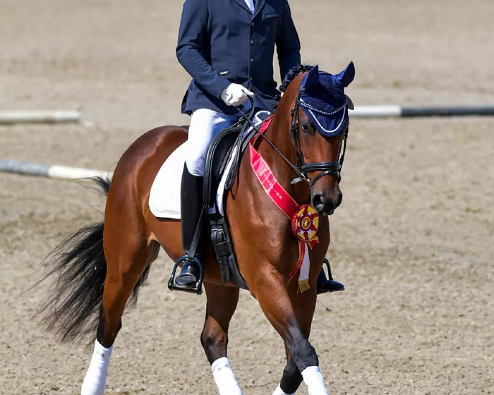 Region 8 Reserve First Level Champion OPEN