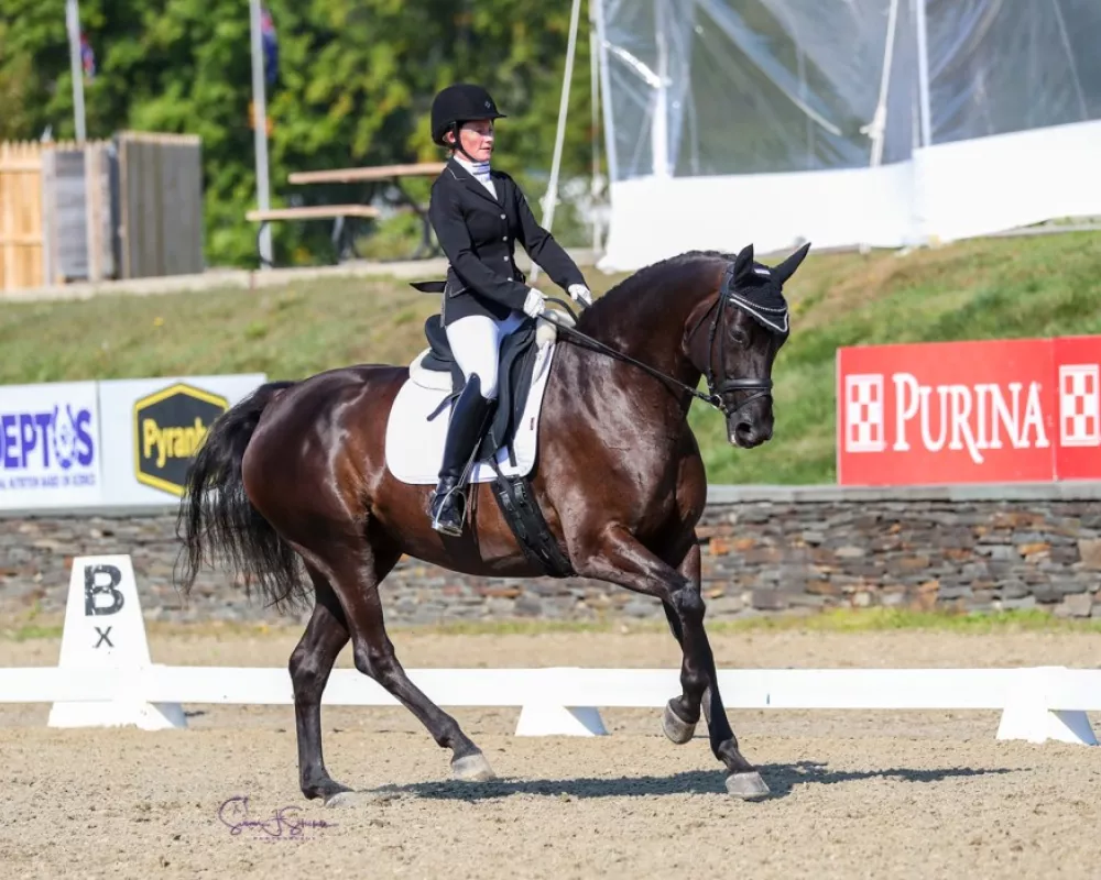 canter championships