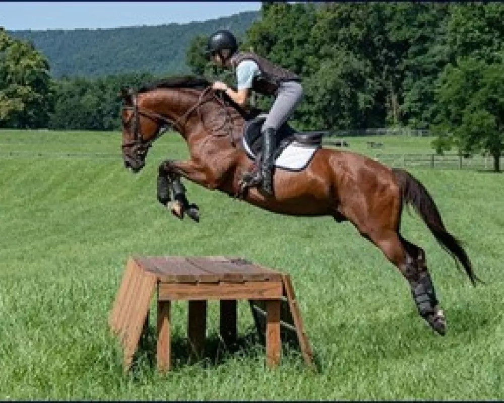 Cross Country Jump