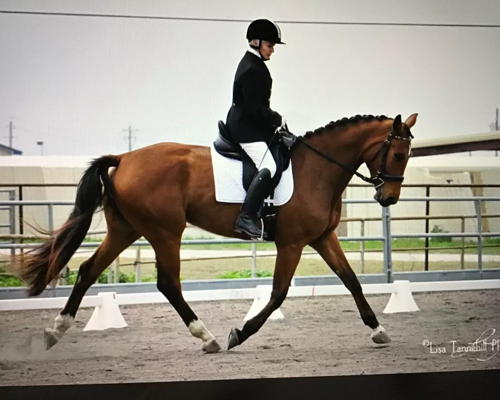 Tiamo in a materiale class, she earned up to 76% in these classes.