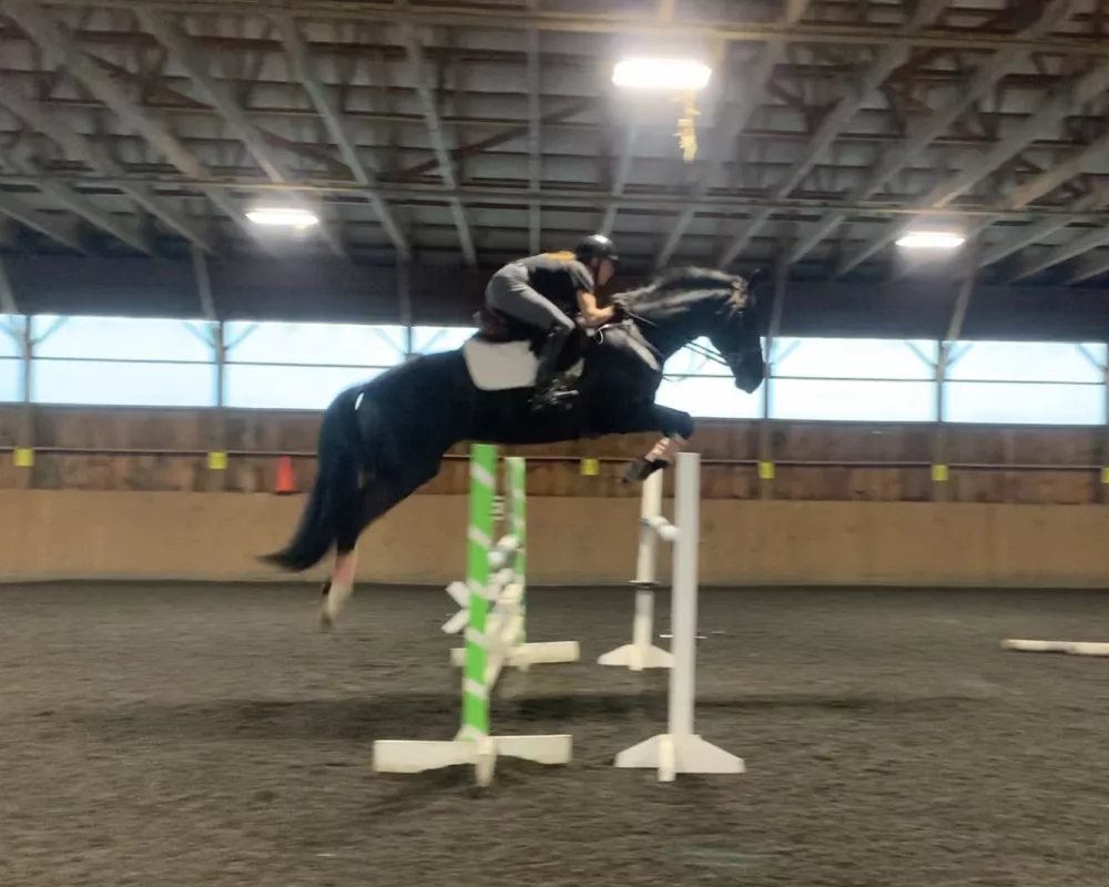 My name is Willa and I love to jump!