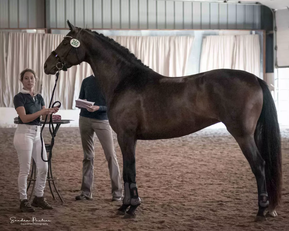 Hélène E. M. at her 2019 VhW inspection