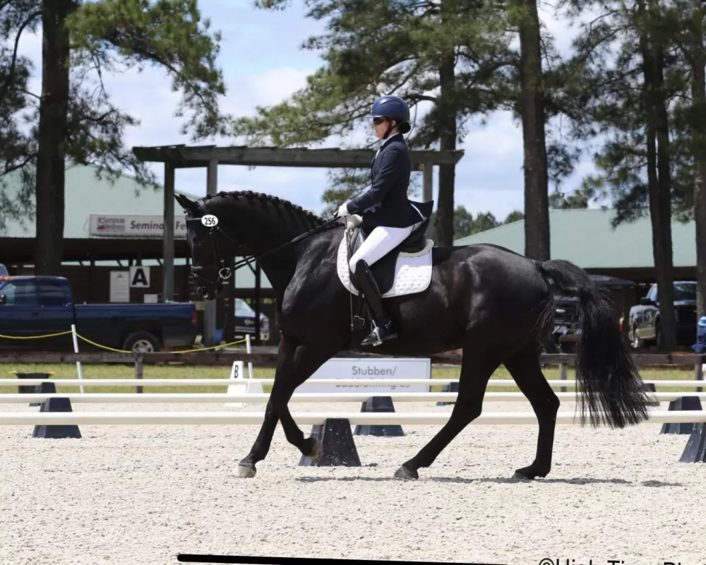Canter photo