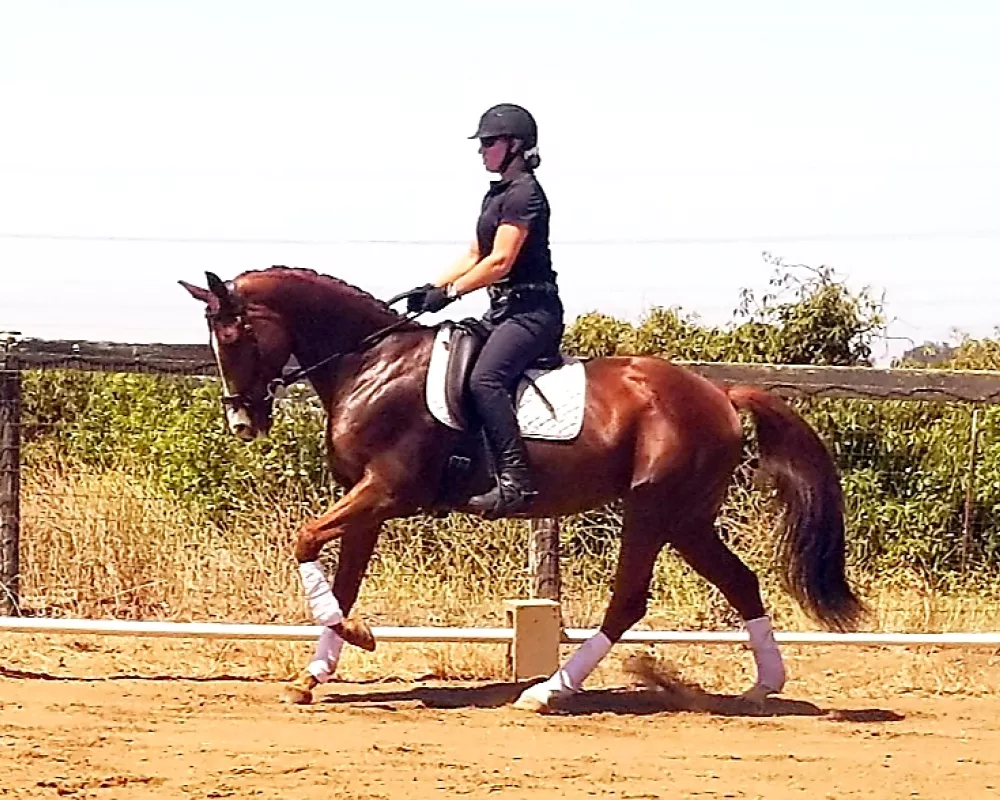 Eve canter