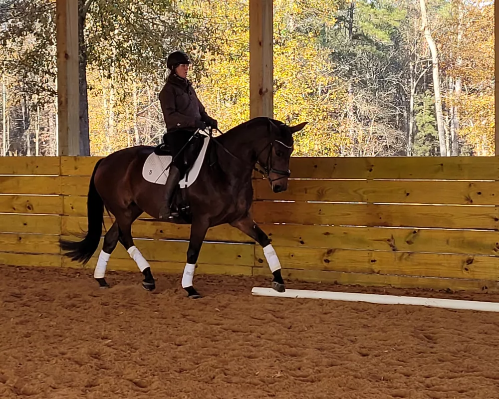 Trot right 