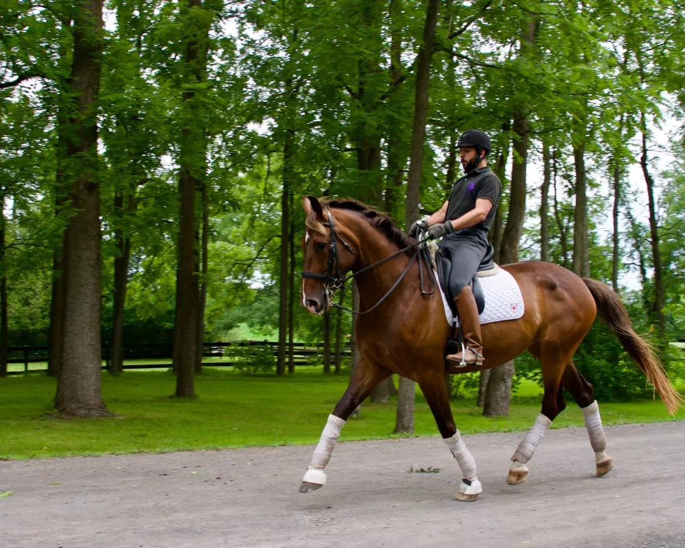 Django Trot