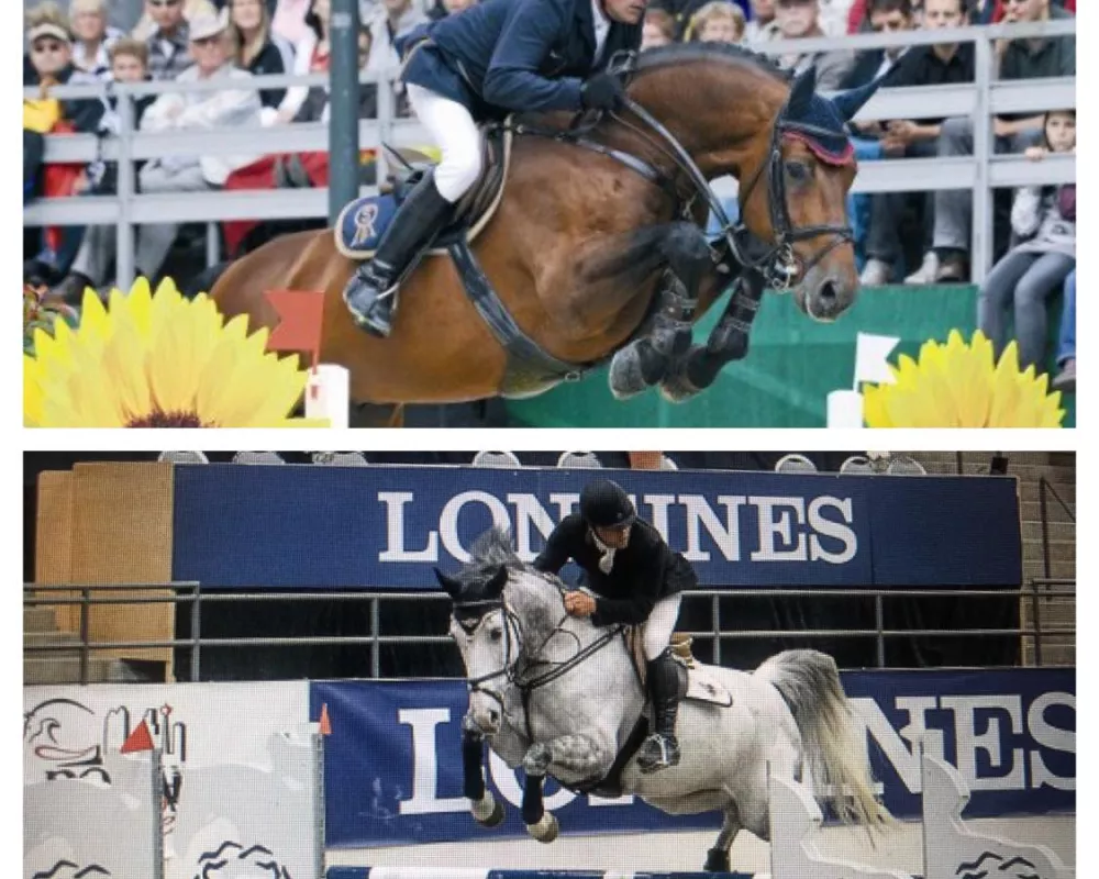 Chacco Blue x Billy Boundary
