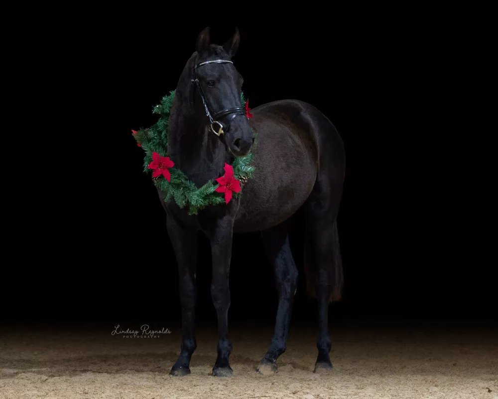 **Christmas Special**