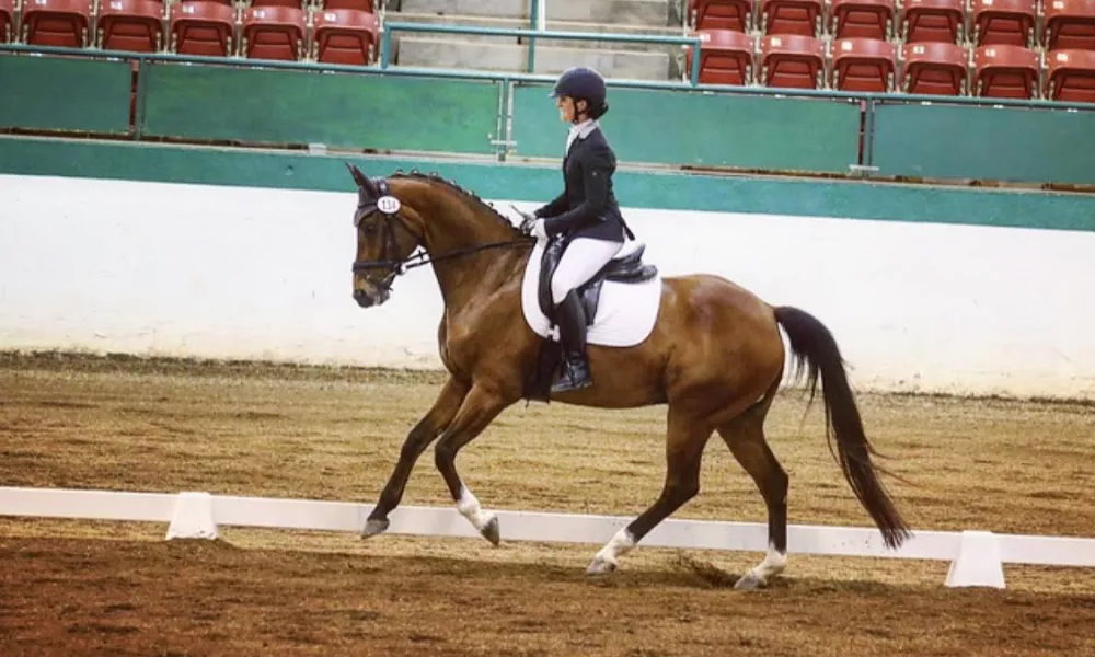 Johnson at Raleigh June Dressage Show 