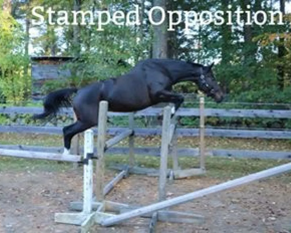 Stamped Opposition