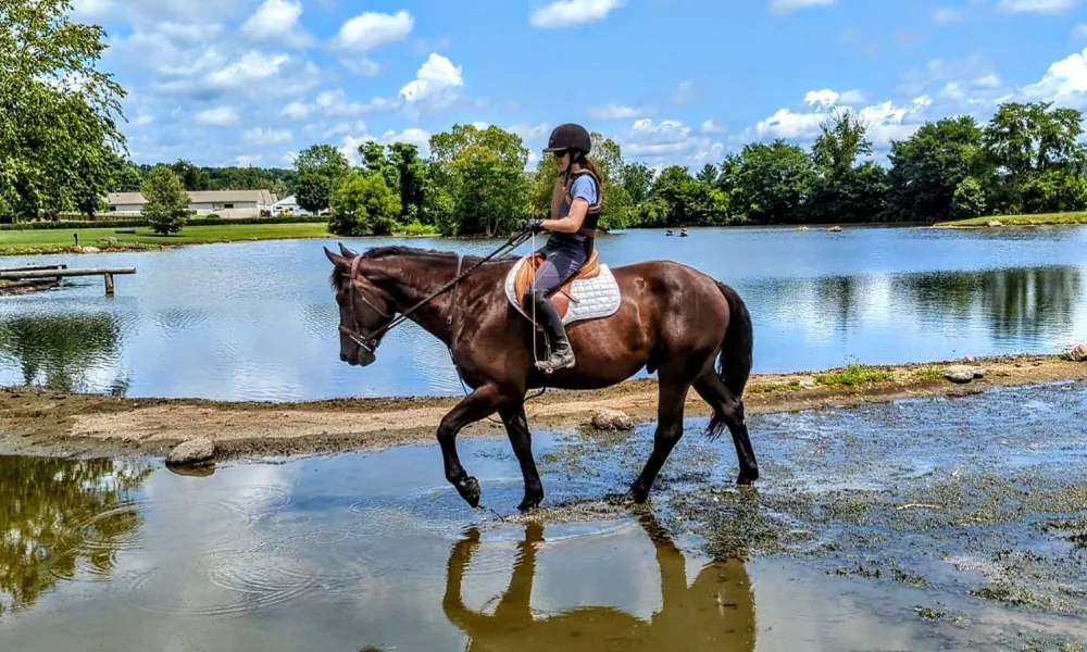 Sherman schooling water xc