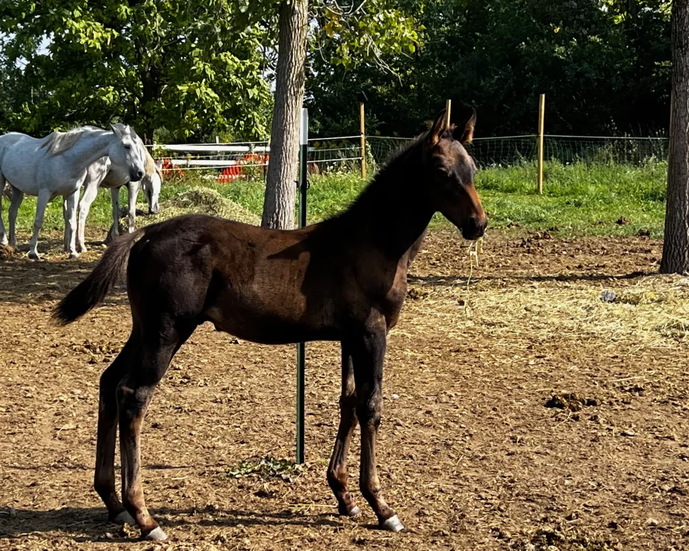 Ragnar AN at 2 months