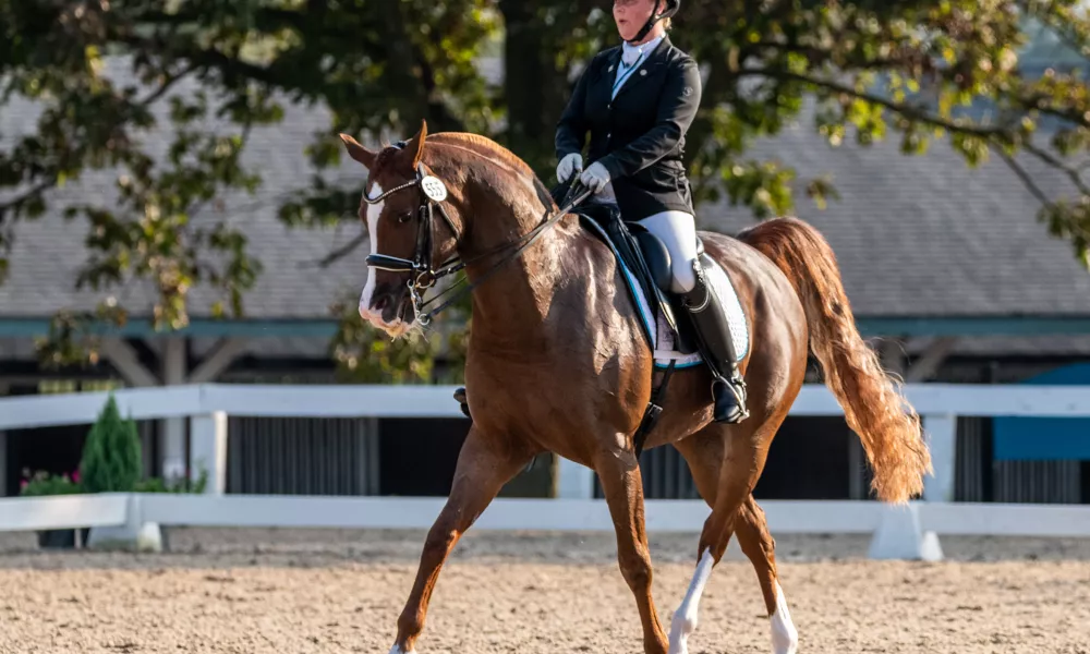 Half pass at Kentucky Horse Park