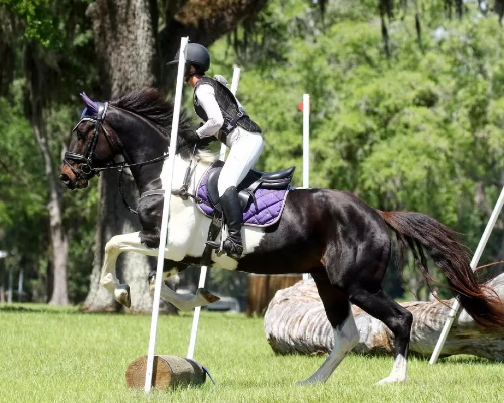 Best Derby pic Leo XC April 16, 2024