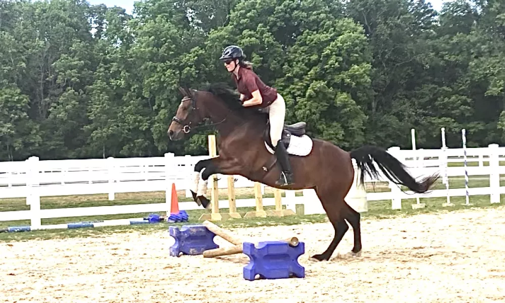 Jumping under saddle 