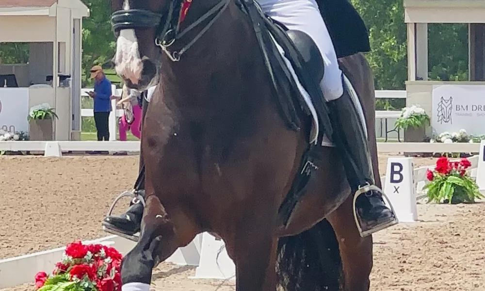 Elvis won the CDI Grand Prix Freestyle in Ottawa June 2024