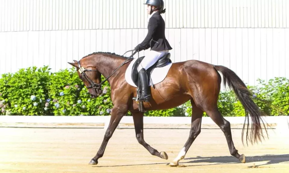 Stunning movement, scores in the 60s at first shows.