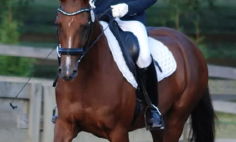 Licensed Dressage Show Sept 2023