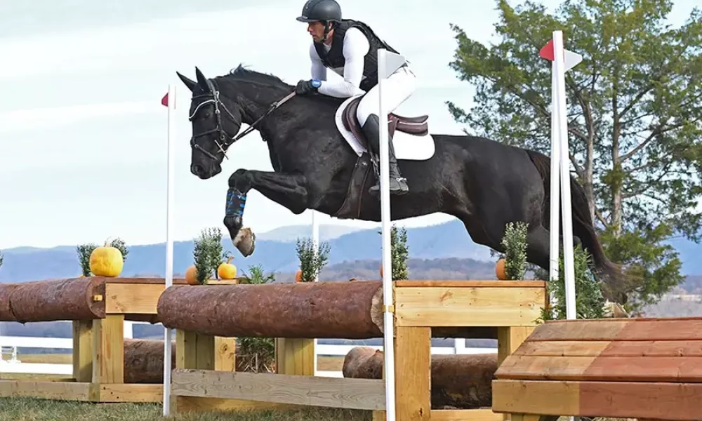 Johnny over training level eventing table