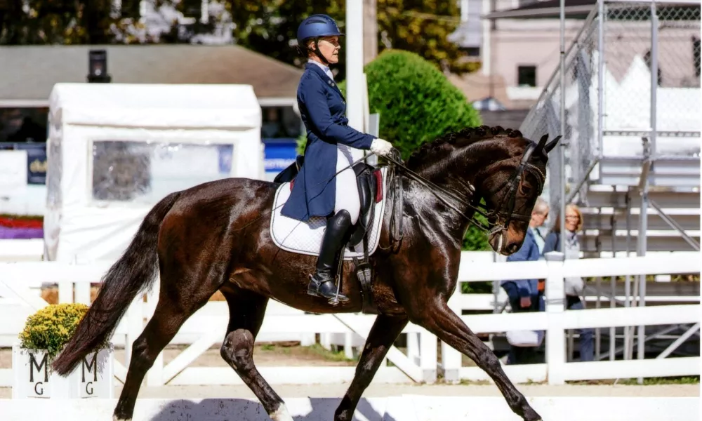 Dressage at Devon, TOC, PSG