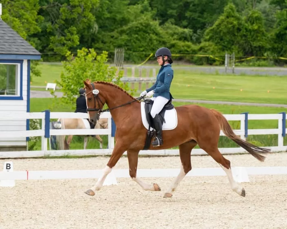 Second Level Winning Ride